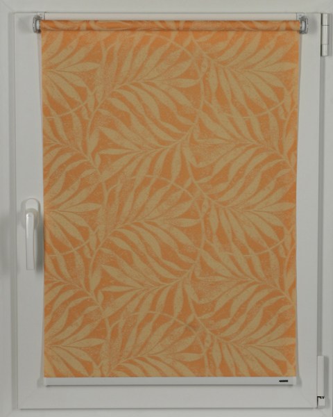tropic-08_6-1566208750